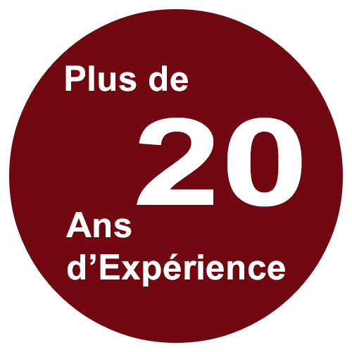 logo 20 ans